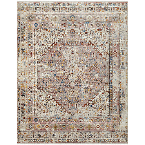  دزرت روز (DSR-041)